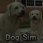 Dog Sim Ost