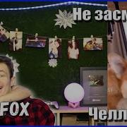 Jane Fox Музыкальный Челлендж