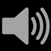Bitch Sound
