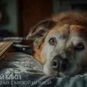 Блюз Музыка