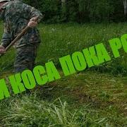Косят Траву Косой