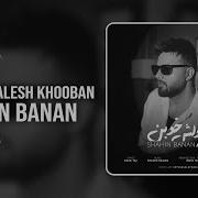Shahin Banan