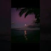 Ислам Итляшев Slow