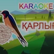 Песня Карлыгаш Скачать