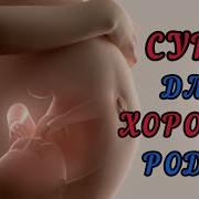 Тулгок Тутганда Укиладиган Дуо