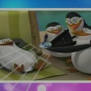 Pom Safe And Sound Mep