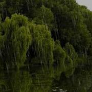 Вальс Дождя Музыка Для Души