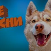 Хаски Бублик Хасячий Рэп