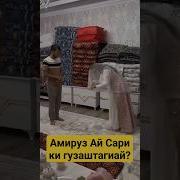 Бар Арусо Бар Домод