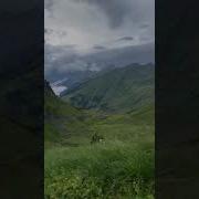 Marimari142 15 Nvember2025