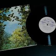 Виа Фламинго Винил