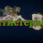 Антистервин Климов Владимир Cliff Аудио Книга