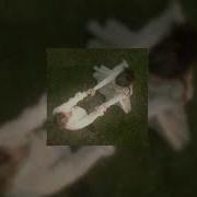 Impacto Slowed