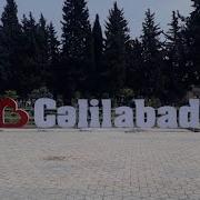 Zeynal Kurdemirli Celilabad