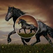 Ауылға Да Сүгір Ай Келді Деп