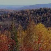 Песня Стерхов