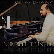 Biji Din Barbulesti