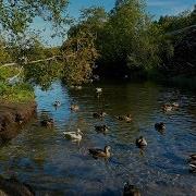 Duck S Lake