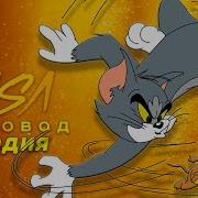 Том И Джерри Раса Пчеловод Пародия