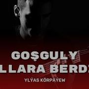 Yyllara Berdim