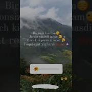 Бир Туш Курдим