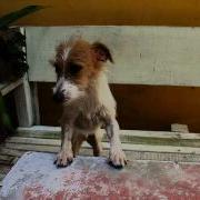 Сборник Русский Хит 2015