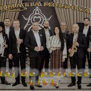 Formații De Muzică Din Moldova