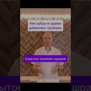 Шрамы На Теле