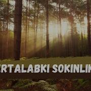 Music Qushlar Ovozi