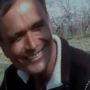 Қалдирғоч Қанотида