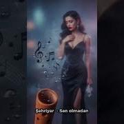 Sehriyar Elizade Sen Olmadan