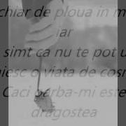 Daisy Te Vreau