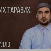 Тарабех Тасбехи 1