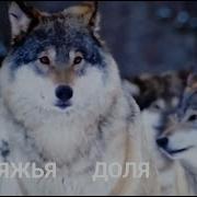 Доля Бродяжья