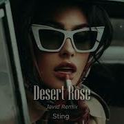 Sting Desert Rose Javid Remix
