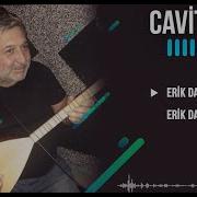 Cavit Tire Erik Dali