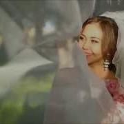 Булбулдар Сайрайды