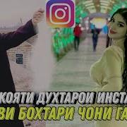 Мавлави Бохтари 2022