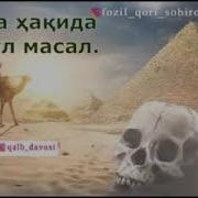 Fozil Qori Kalla Haqida