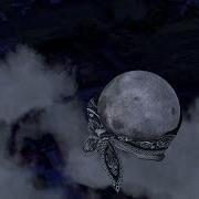Moon Juice T I