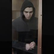 Посадили