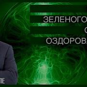 Андрей Ракицкий Цветотерапия