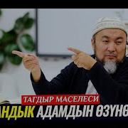 Мандайына Жазган Тагдыр