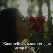 Живи Сегодня Песня