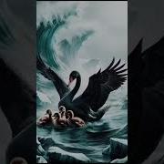 Семья Хуснудиновых Только Мама