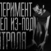 Worldbegemotkot Эксперимент