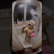 Ля Ляляля Ляляля