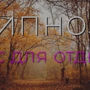 Медитация Лес