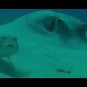 Это Чё За Хуйня