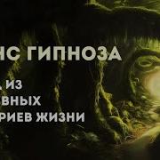Гипноз И Медитация Роман Козырев